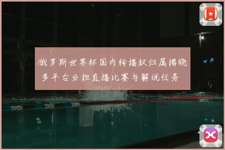 俄罗斯世界杯国内转播权归属揭晓 多平台分担直播比赛与解说任务