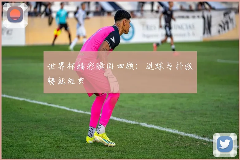 世界杯精彩瞬间回顾:进球与扑救铸就经典